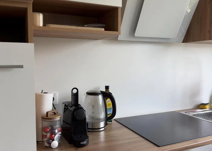 Quartier Ht13 Rheinblick * Coblença